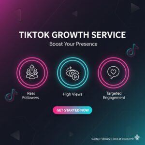 TikTok Growth Service (Followers & Views)